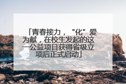 青春接力，“化”爱为献，在校生发起的这一公益项目获得省级立项后正式启动